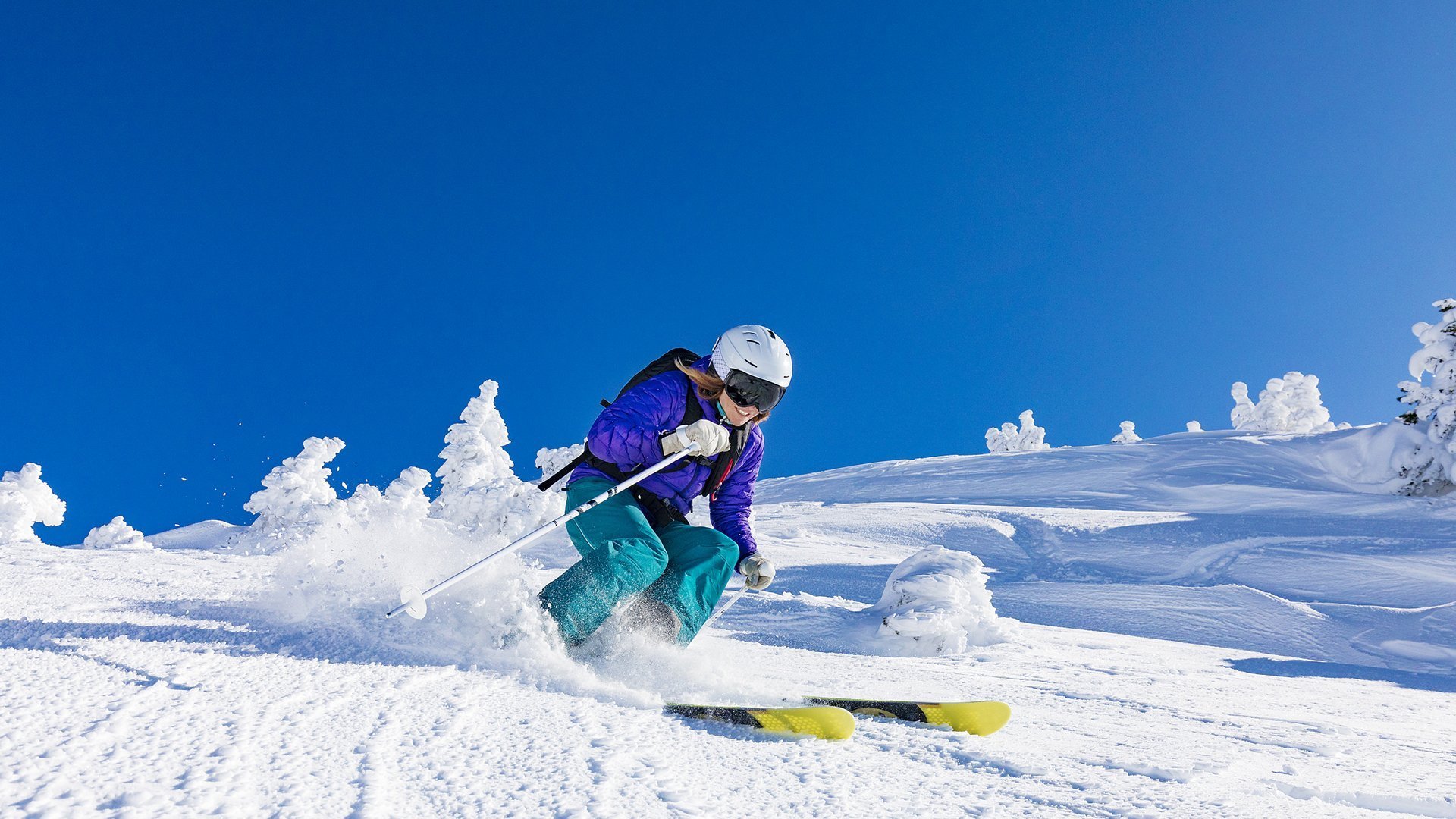 世界杯后青训场地共享平台运营白皮书，世界杯训练基地